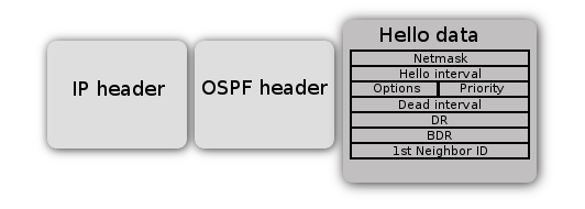 OSPF Hello packet