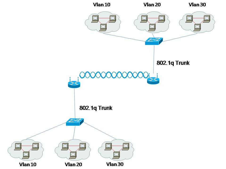 Trunk Link