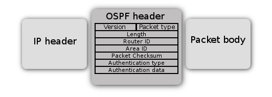 File:Ospf-header.png